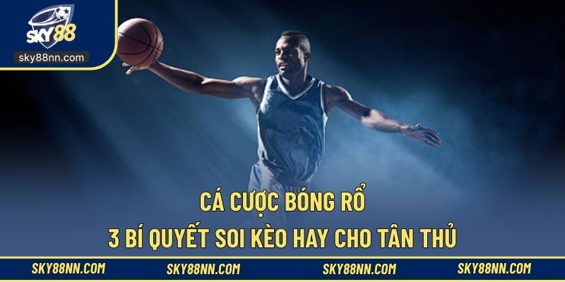 Cá cược bóng rổ