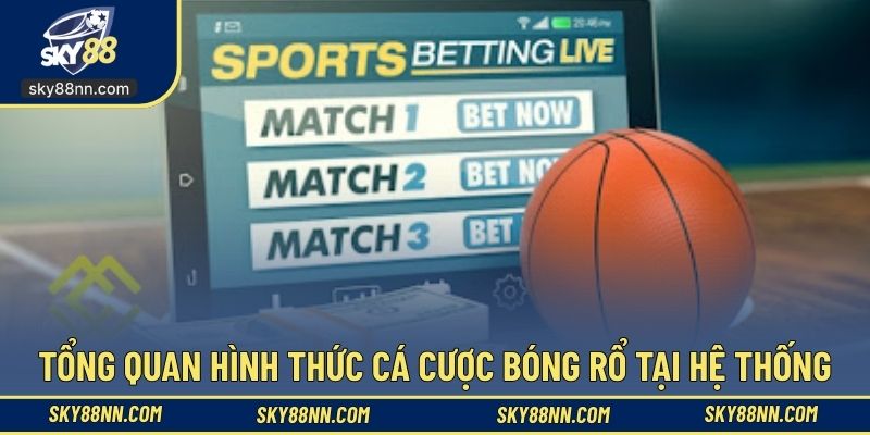 Chơi cá cược bóng rổ sở hữu nhiều ưu điểm hấp dẫn