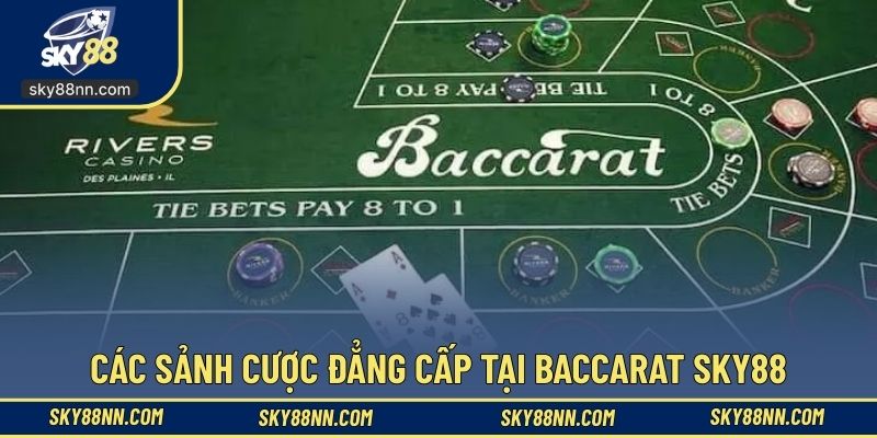 Thoải mái chọn sảnh cược theo nhu cầu riêng