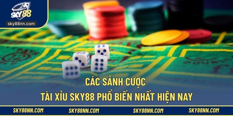 Tìm hiểu để chọn sảnh cược cho phù hợp nhu cầu
